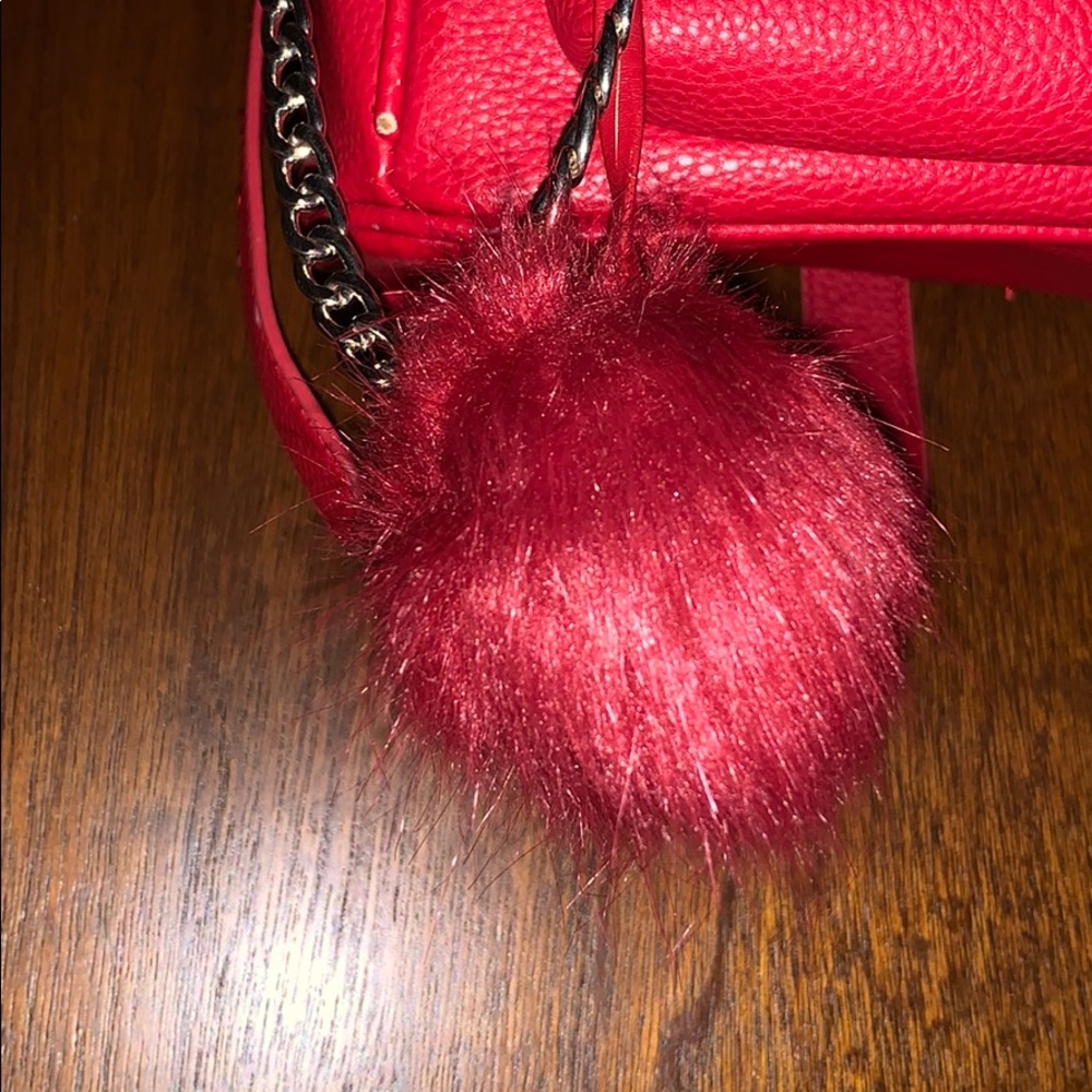 Backpack - Picture 2 of 3